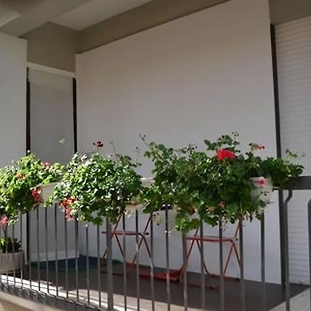 Sogni D'Oro A 300 M Dai Sassi Βίλα Ματέρα Εξωτερικό φωτογραφία